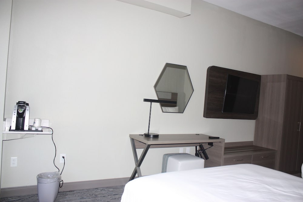 Holiday Inn Express Hotel & Suites Shamrock North by IHG - photo 7