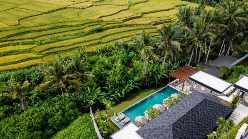 Villa Dhiantus by BaliSuperHost — 4-Star Luxury Hotel in Ubud, Indonesia