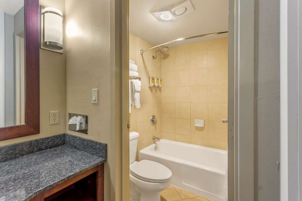 Best Western Plus Burley Inn & Convention Center - photo 22