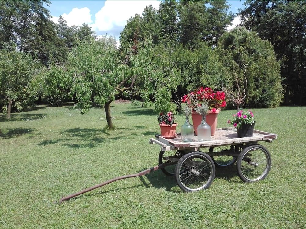 La Vie En Rose — Buia — photo 2