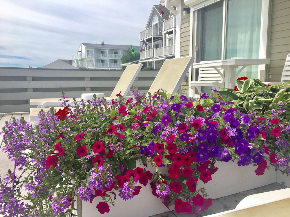 Dyer's Beach House - photo 18