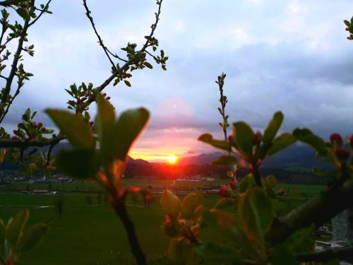Griesbachhof Wilder Kaiser — 4-Star Luxury Hotel in Oberndorf In Tirol, Austria
