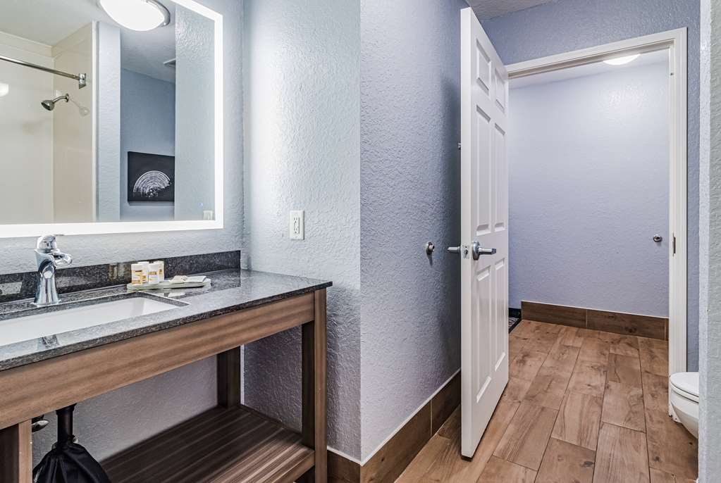 La Quinta Inn & Suites by Wyndham Tomball - photo 21