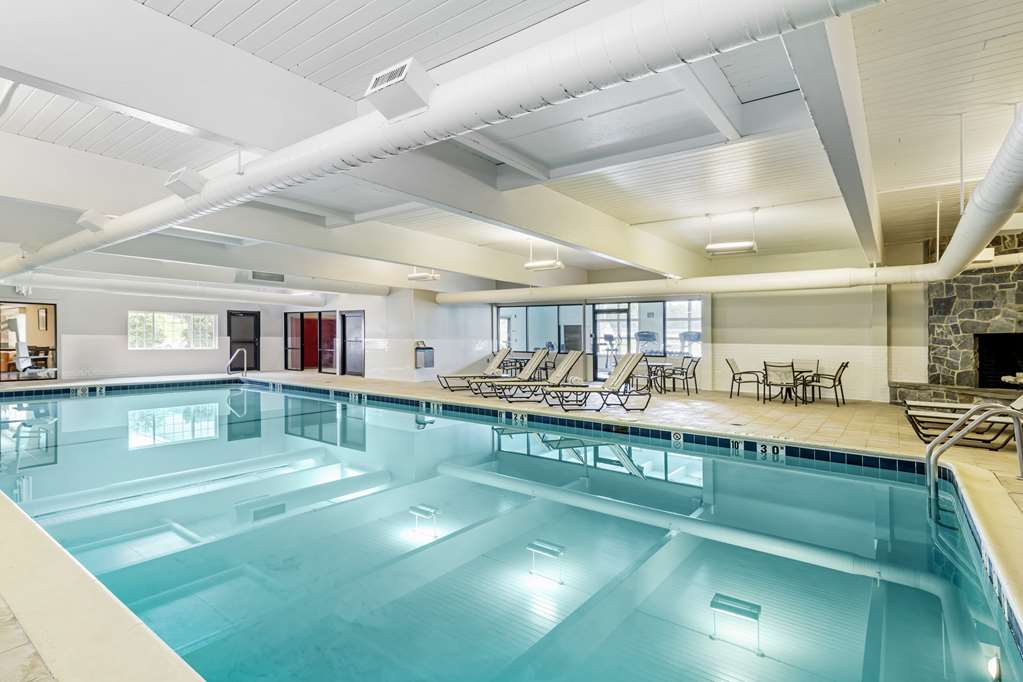 Best Western Springfield Hotel - photo 3