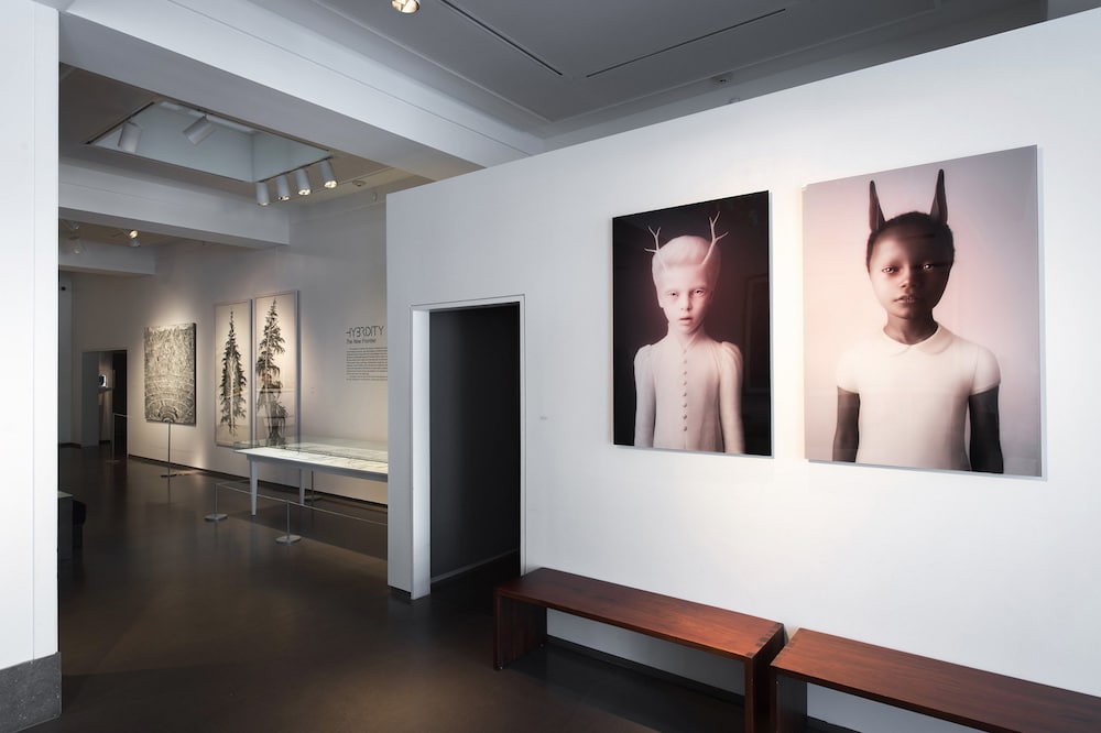 21c Museum Hotel Cincinnati - photo 7