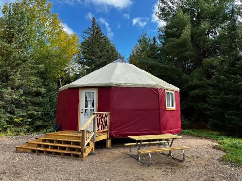 Cabin O' Pines A Family Friendly Resort - photo 15