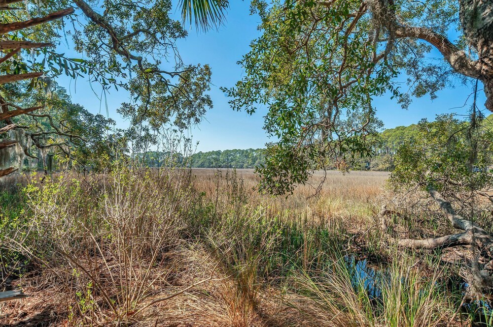 43 Stoney Creek at The Sea Pines Resort - photo 36