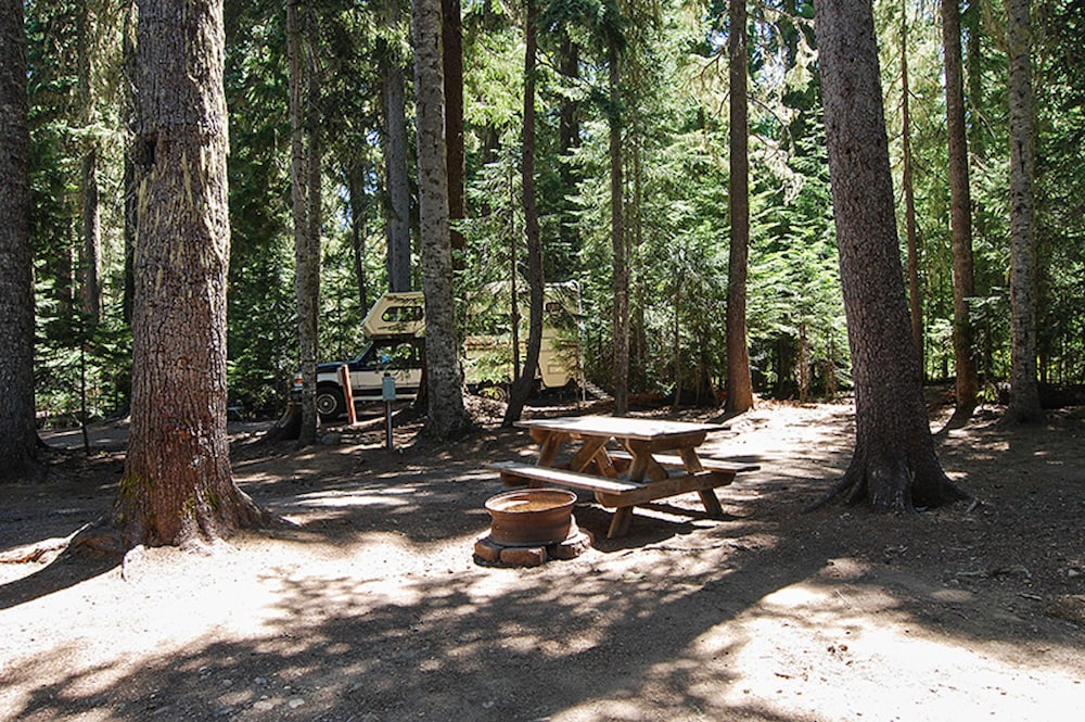 Shelter Cove Resort and Marina - photo 106