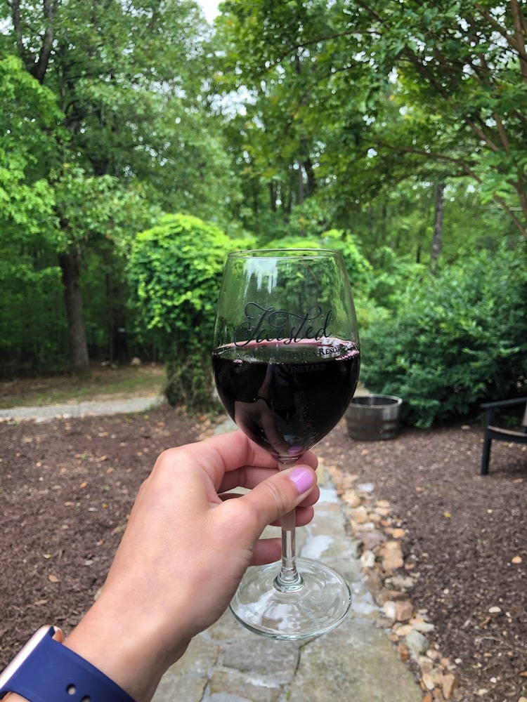 Dahlonega Resort and Vineyard - photo 50