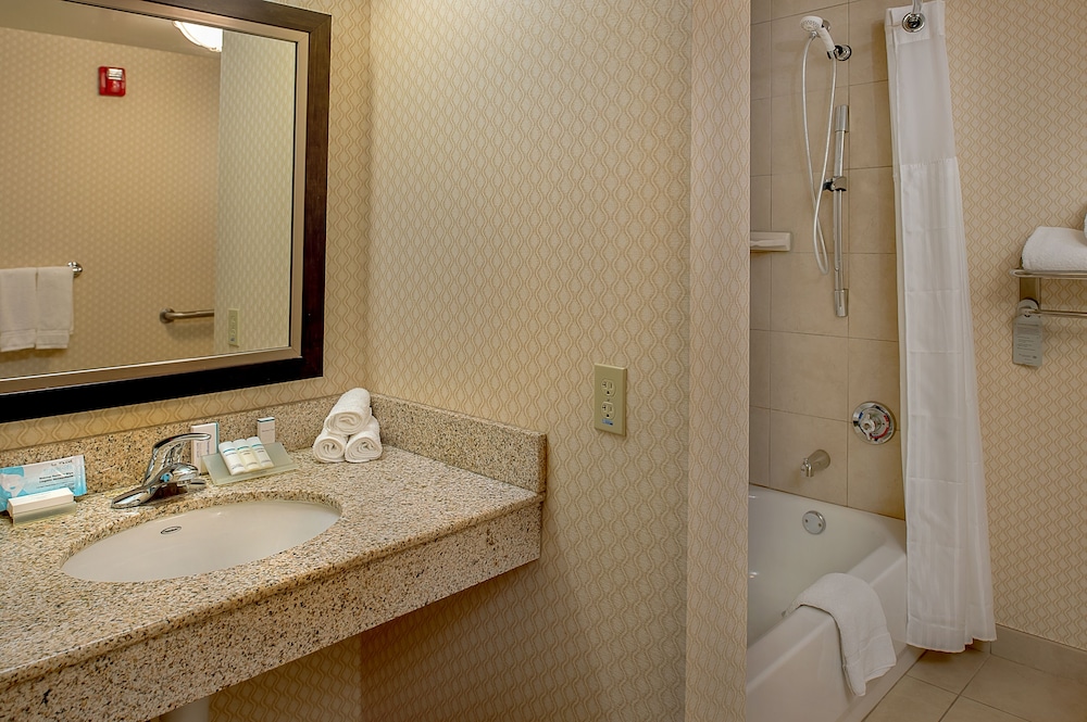 Hilton Garden Inn St. Louis Airport - photo 40