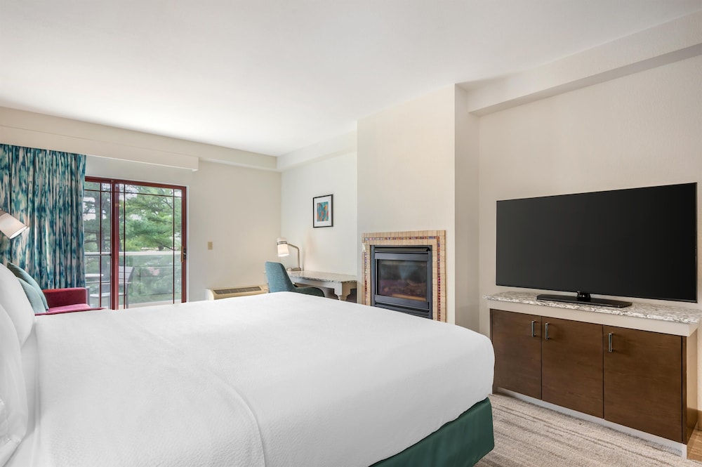 Hilton Garden Inn Wisconsin Dells - photo 65