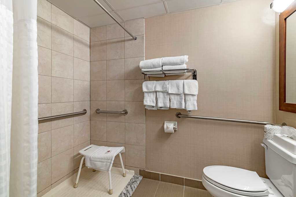 Comfort Inn Glenmont Albany South - photo 8