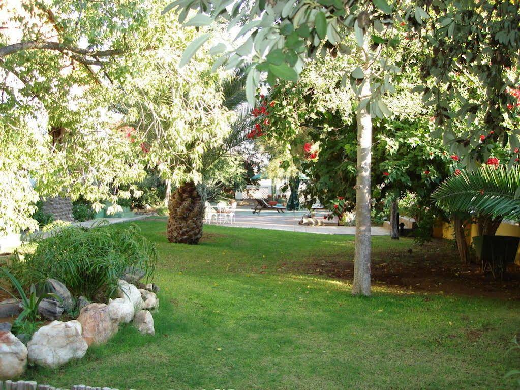 Corona Guest Farm — Windhoek — photo 4