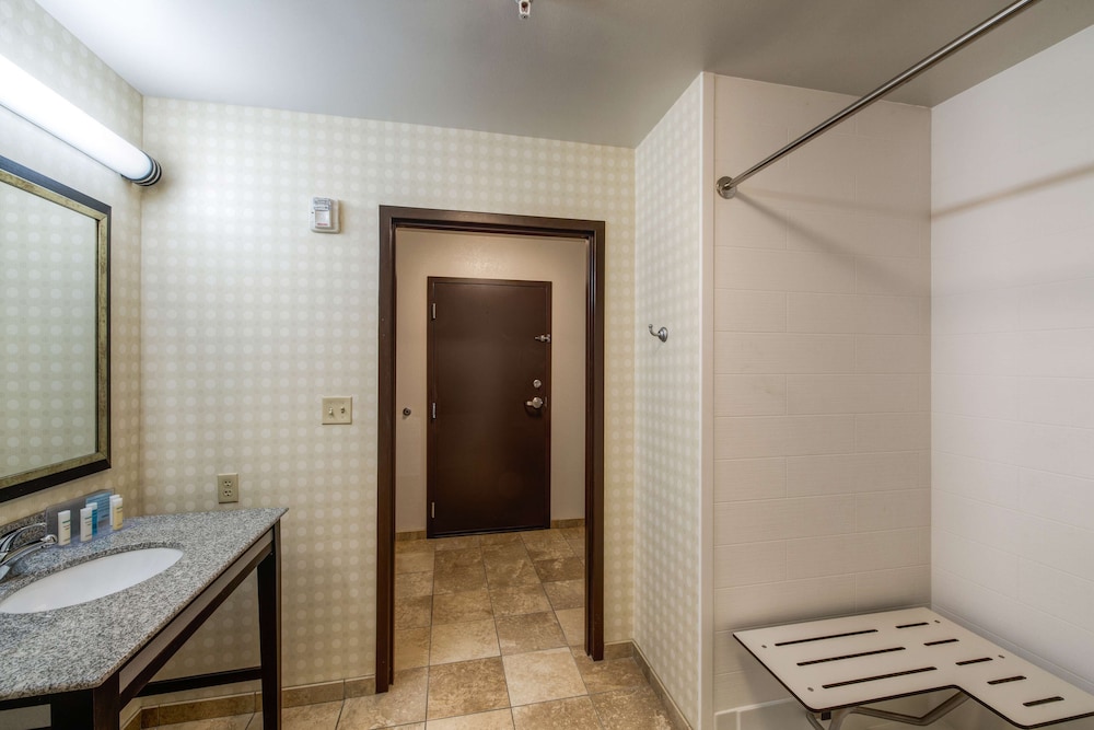 Hampton Inn & Suites Detroit Airport Romulus - photo 19