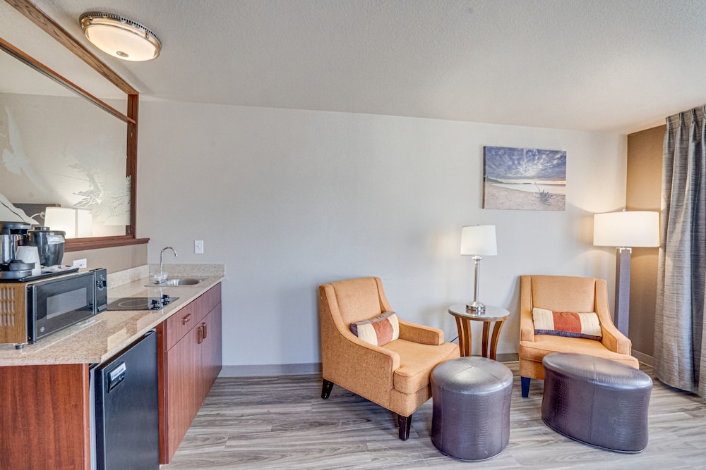 The Ashley Inn & Suites - photo 18