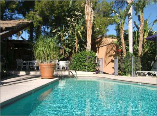 Triangle Inn Clothing Optional Resort for Men - photo 18