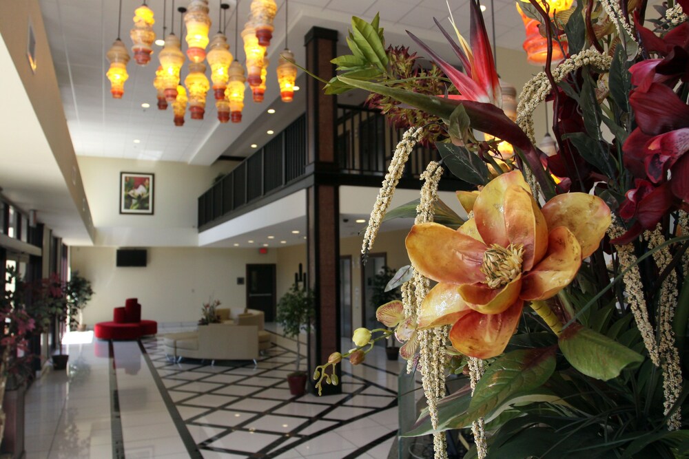 Blue Lake Casino & Hotel - photo 3