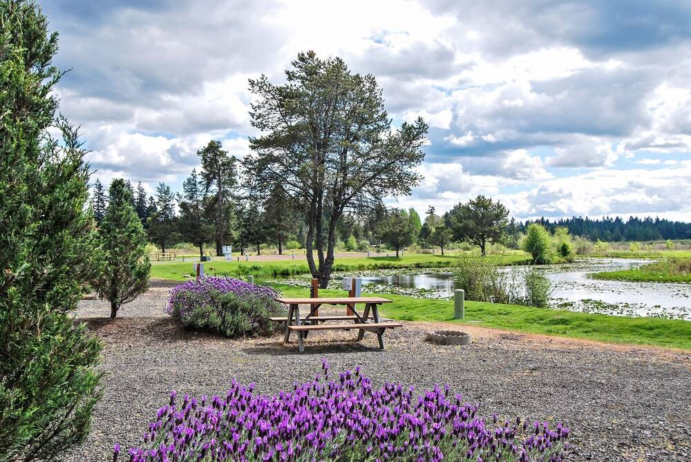 Silver Cove RV Resort - photo 7