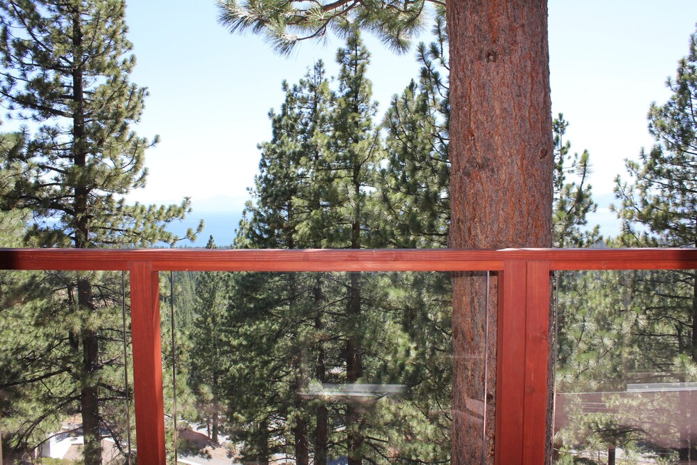Tahoe Chaparral - photo 32