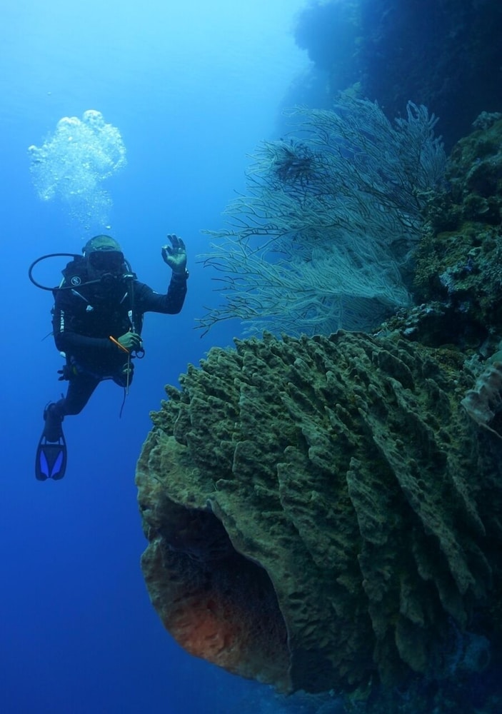 Capa Maumere in Maumere, Indonesia