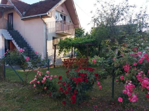 Kuca Studio in Pozega, Serbia