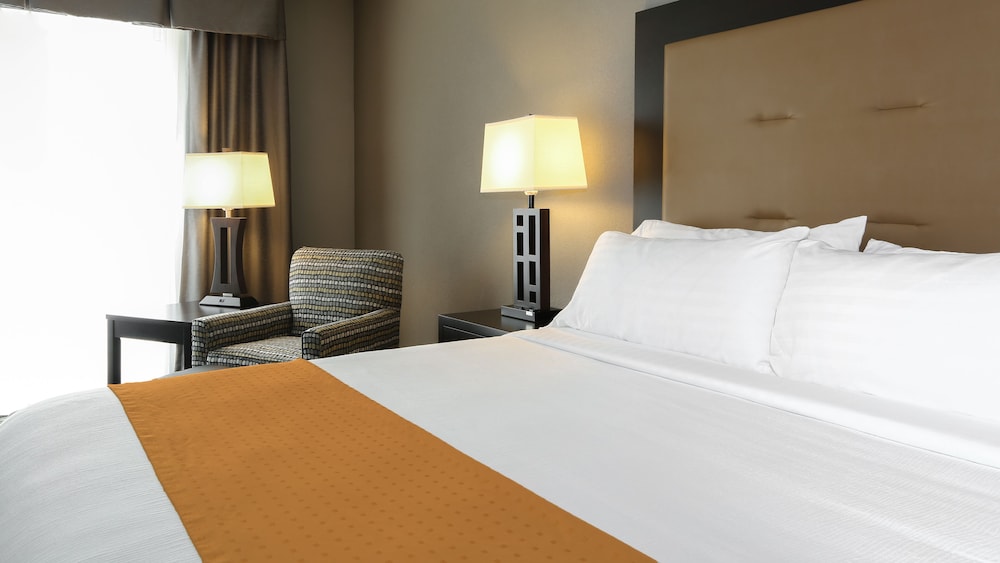 Holiday Inn Express Hotel & Suites Olathe North by IHG - photo 12