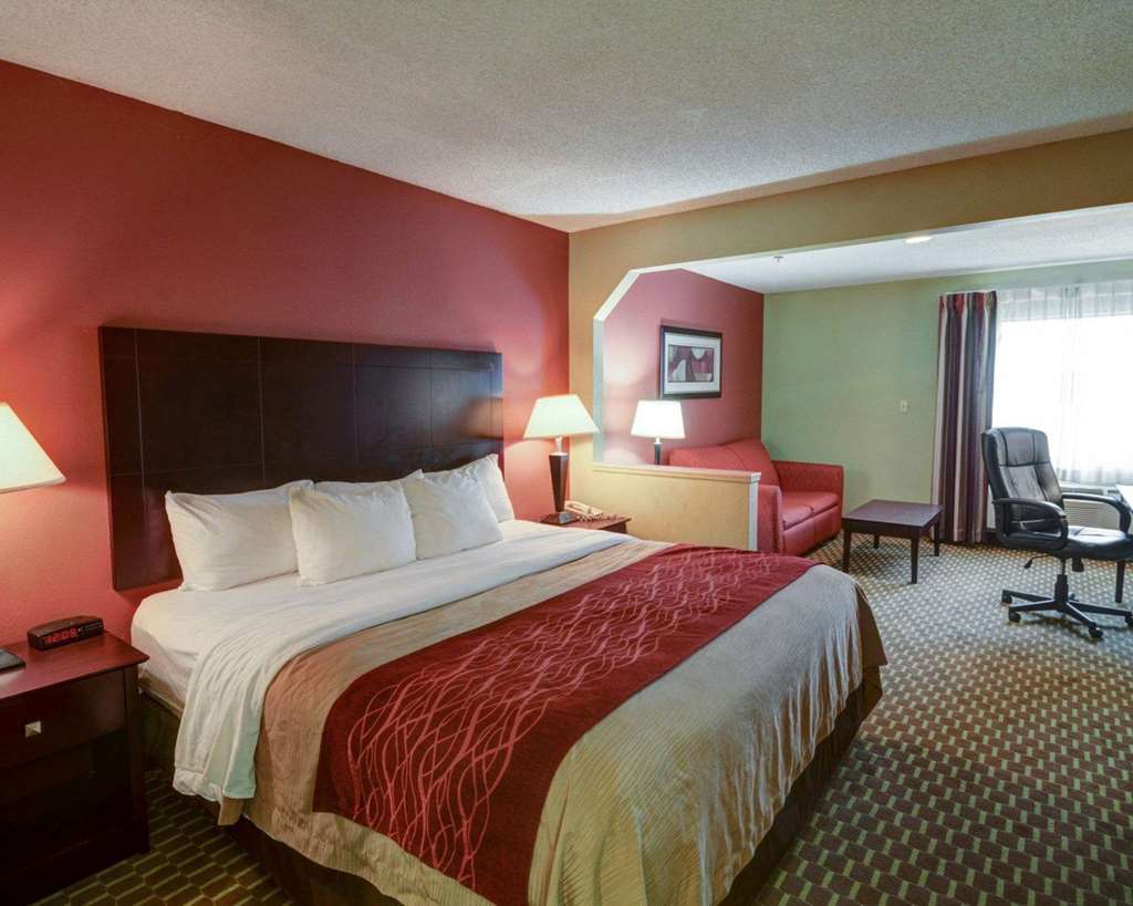 Quality Inn & Suites Pine Bluff - photo 16
