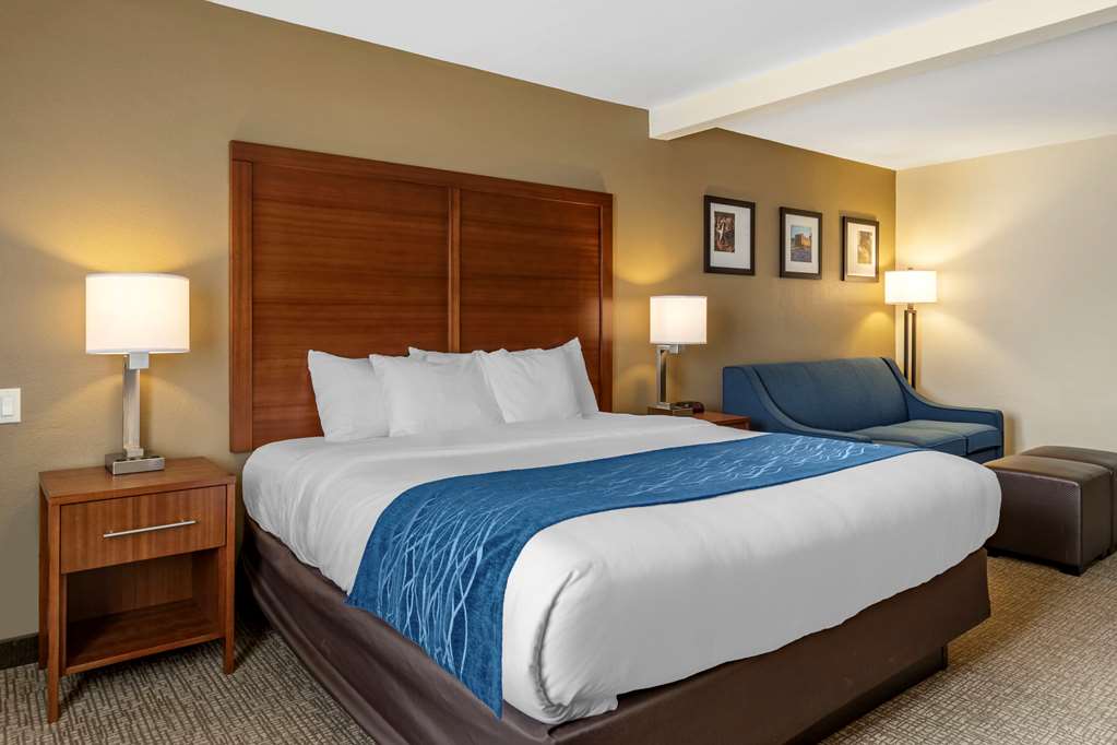 Comfort Inn & Suites Texas Hill Country - photo 6