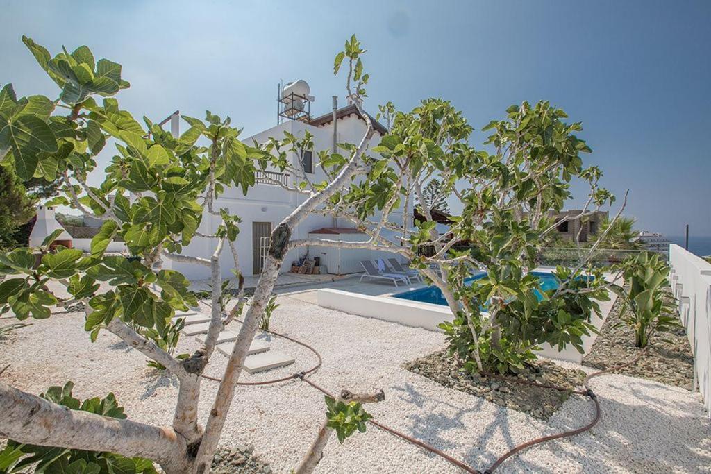 Villa Nepou Beautiful 4 Bedroom Villa Located In Ayia Napa