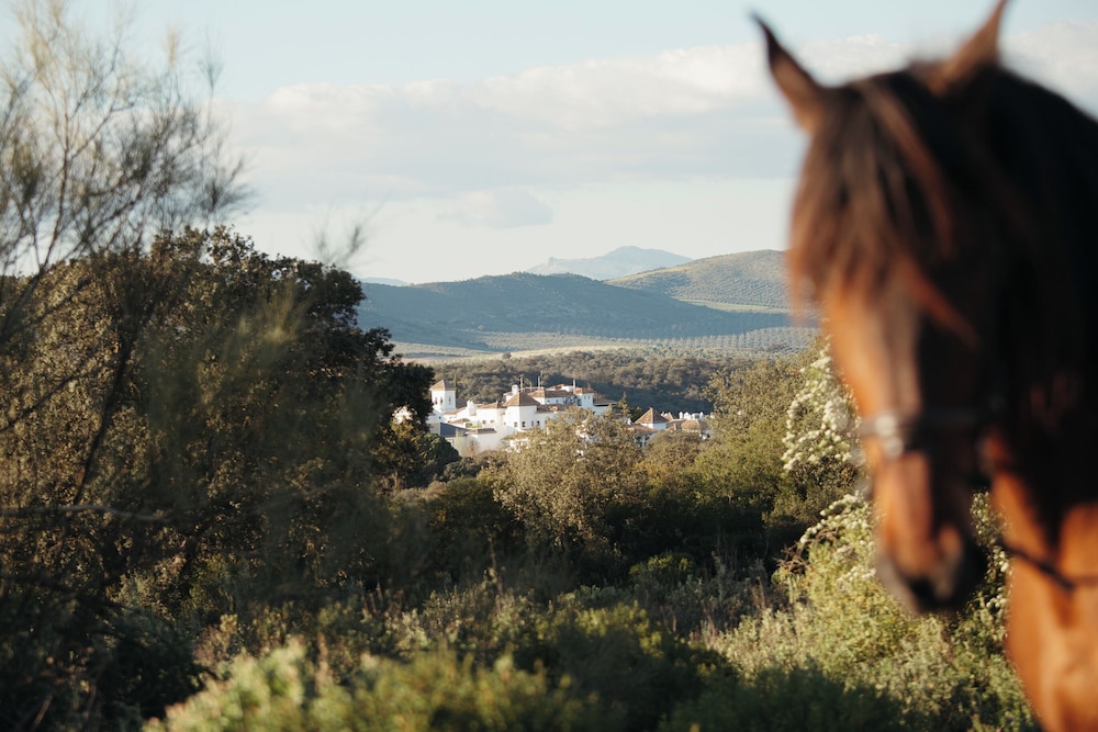 Finca la Bobadilla Leading Hotels of the World - carbon neutral hotel in Loja