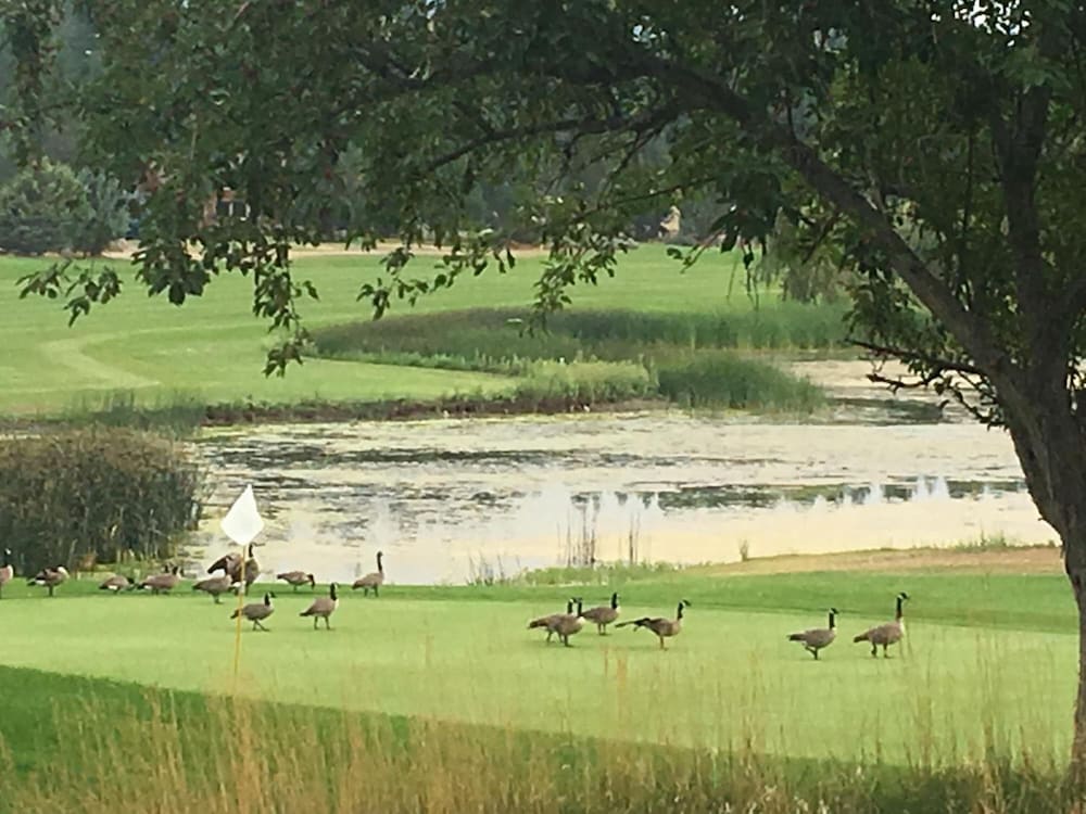 Lake Shastina Golf Resort - photo 25