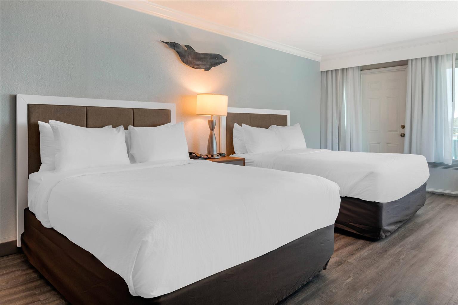 Dolphin Sands Clearwater Beach an Ascend Collection Hotel - photo 18