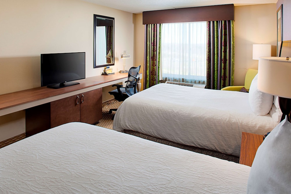 Hilton Garden Inn Hartford North Bradley International Airport - photo 14