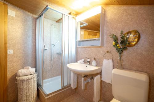 Chalet Sönderli — Amden — photo 2