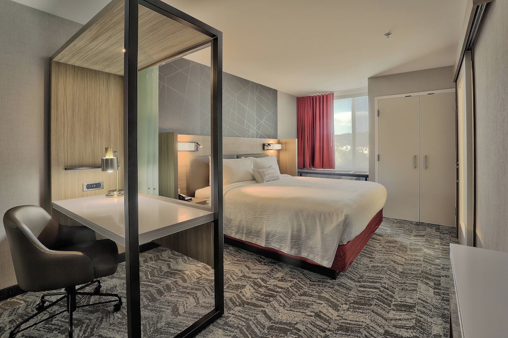 Springhill Suites by Marriott Durango - photo 8