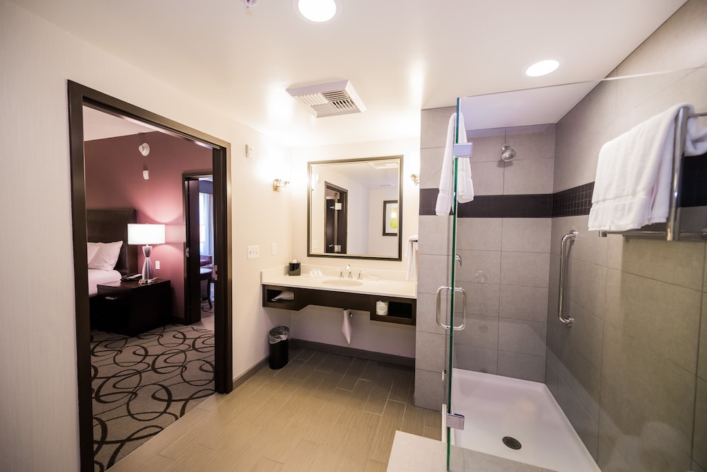 Hilton Garden Inn Irvine Orange County Airport - photo 12