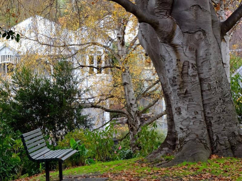 Pillinger Street - carbon neutral hotel in Hobart