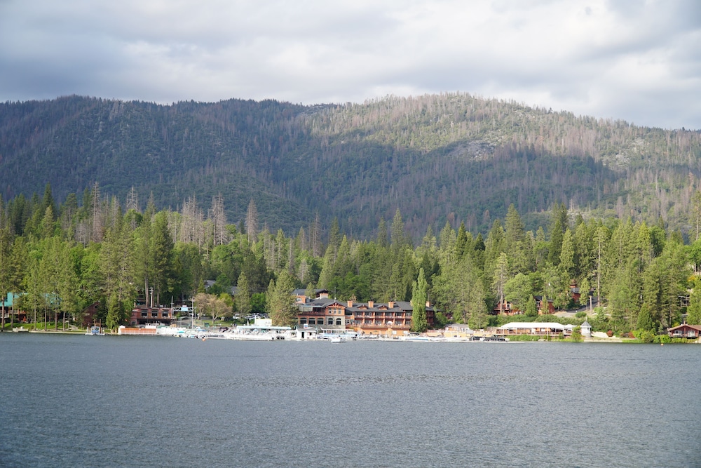 The Pines Resort - photo 150