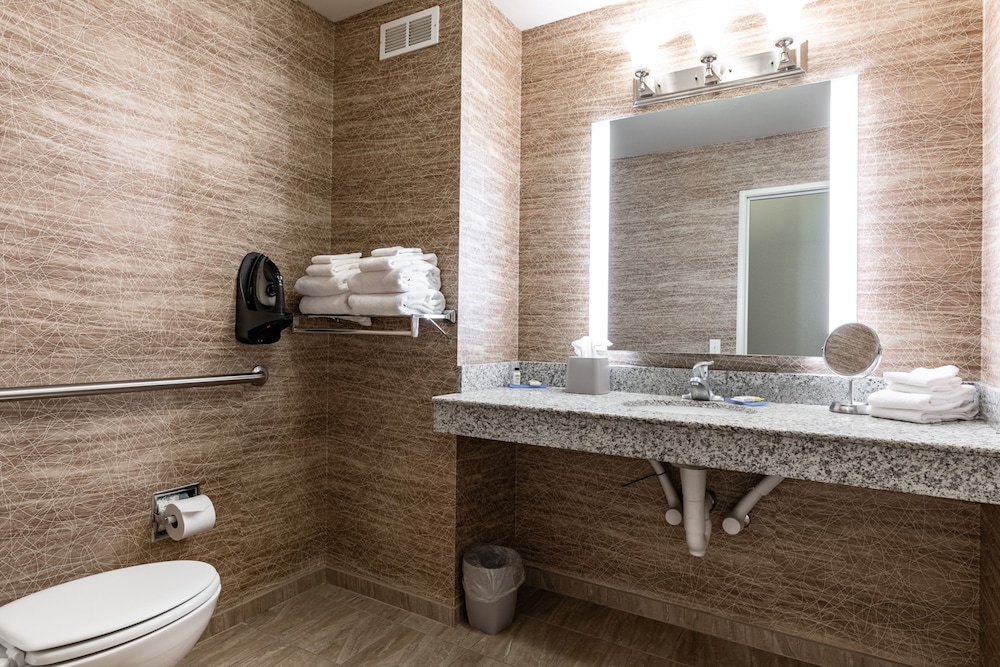 Holiday Inn Express & Suites New Martinsville by IHG - photo 17