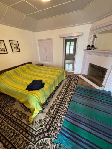 Abode at Thanedar Estate — Shimla — photo 2