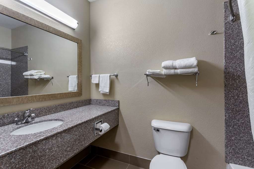 Comfort Inn & Suites Carbondale University Area - photo 7
