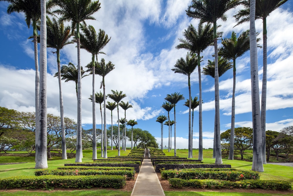 Mauna Kea Residences - photo 321