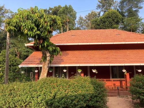 Coorg Klusters Estate Stay — Virarajendrapet