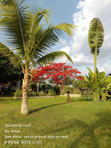 Beauty by Nature Family Garden Retreat with STARLINK — 4-Star Luxury Hotel in Wa, Ghana