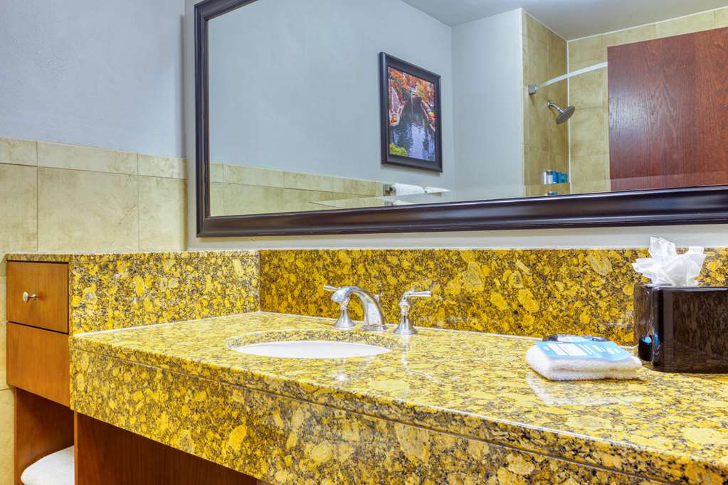 Drury Plaza Hotel San Antonio Riverwalk - photo 110