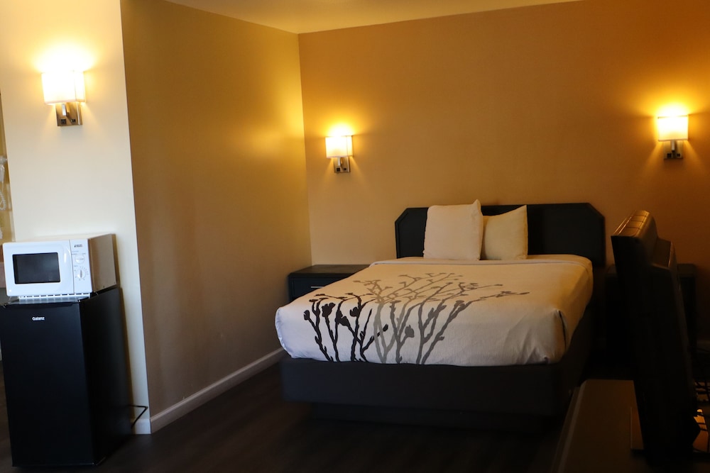 Black Canyon Motel - photo 20