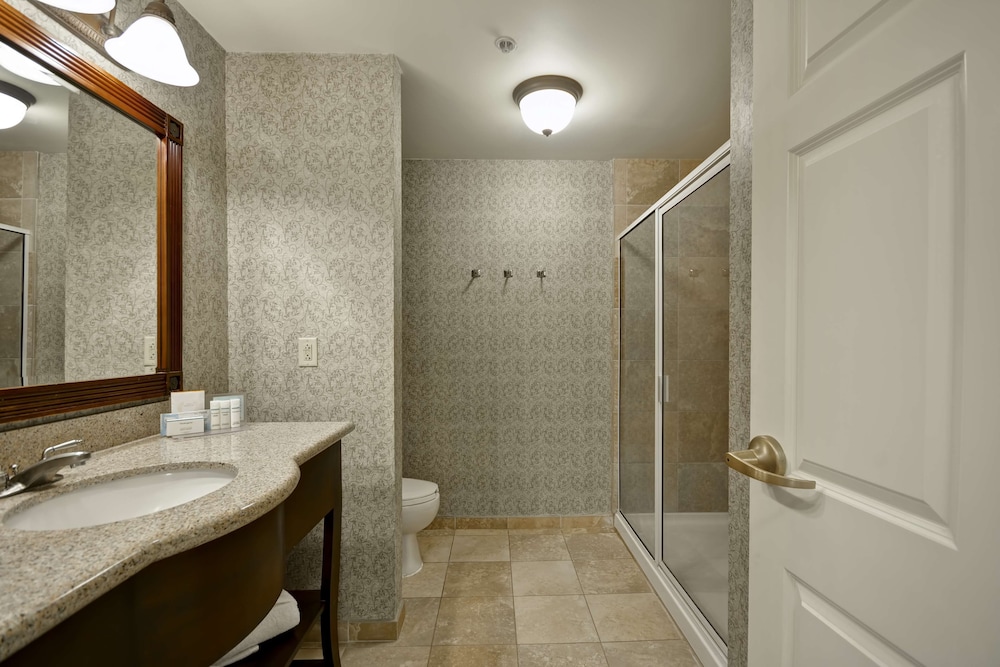 Hampton Inn and Suites Savannah Historic District - photo 43