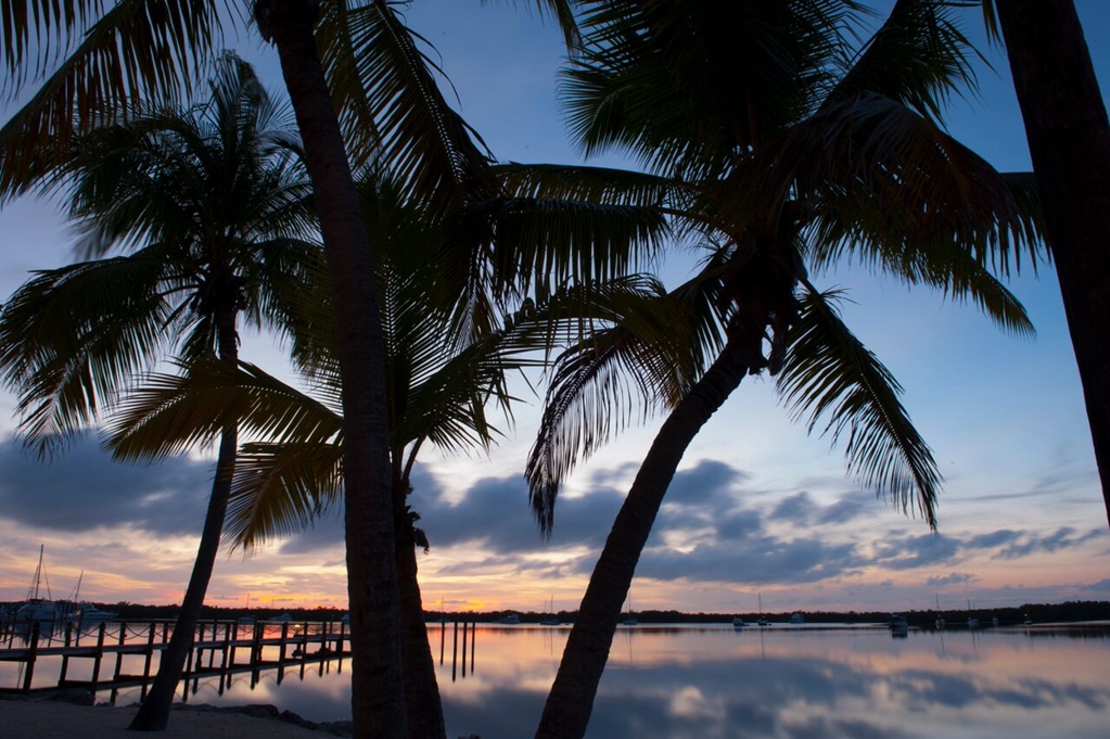 Coconut Palm Inn - photo 16