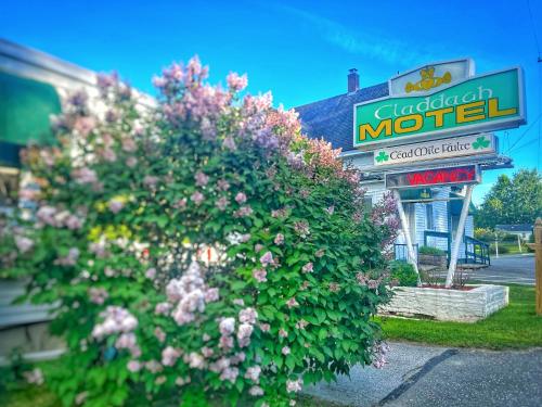 Claddagh Motel & Suites - carbon neutral hotel in Rockport