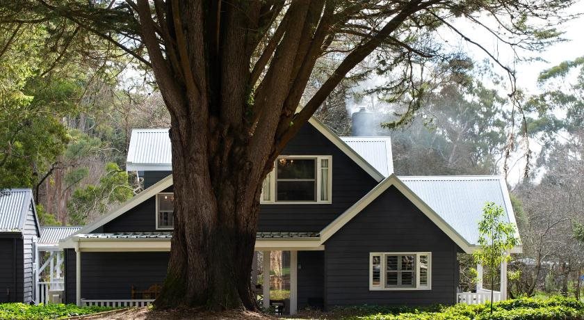 The Orchard — Daylesford